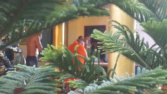 Sihanoukville Beach. Cambodia/ Нас кто-то кусает.  Пляж Сиануквиля.  Первые ощущения.  Камбоджа