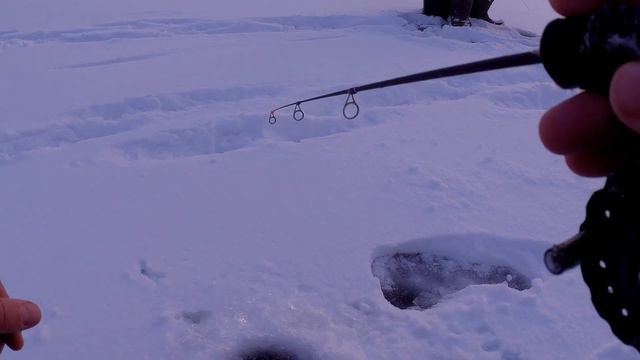 Первая рыбалка по первому льду 2023/2024!!! Ловлю окуня на балансир! смотреть онлайн