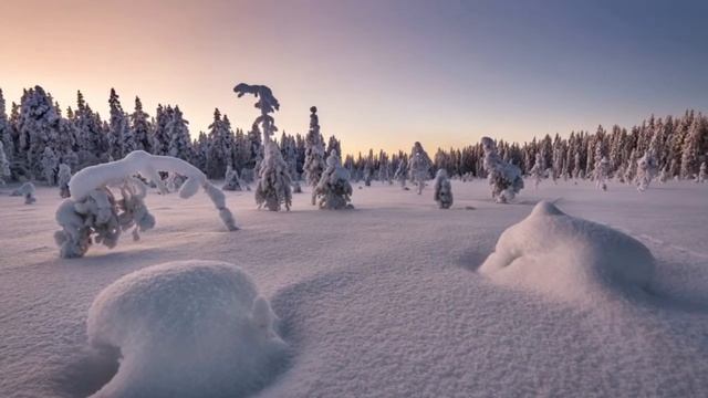 Эдуард Асадов - Слово о любви смотреть онлайн