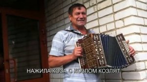 Святов Анатолий - Лучший гармонист из всех, кого я видел!