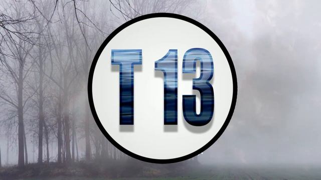 Undertale Shop theme - Visualizer смотреть онлайн