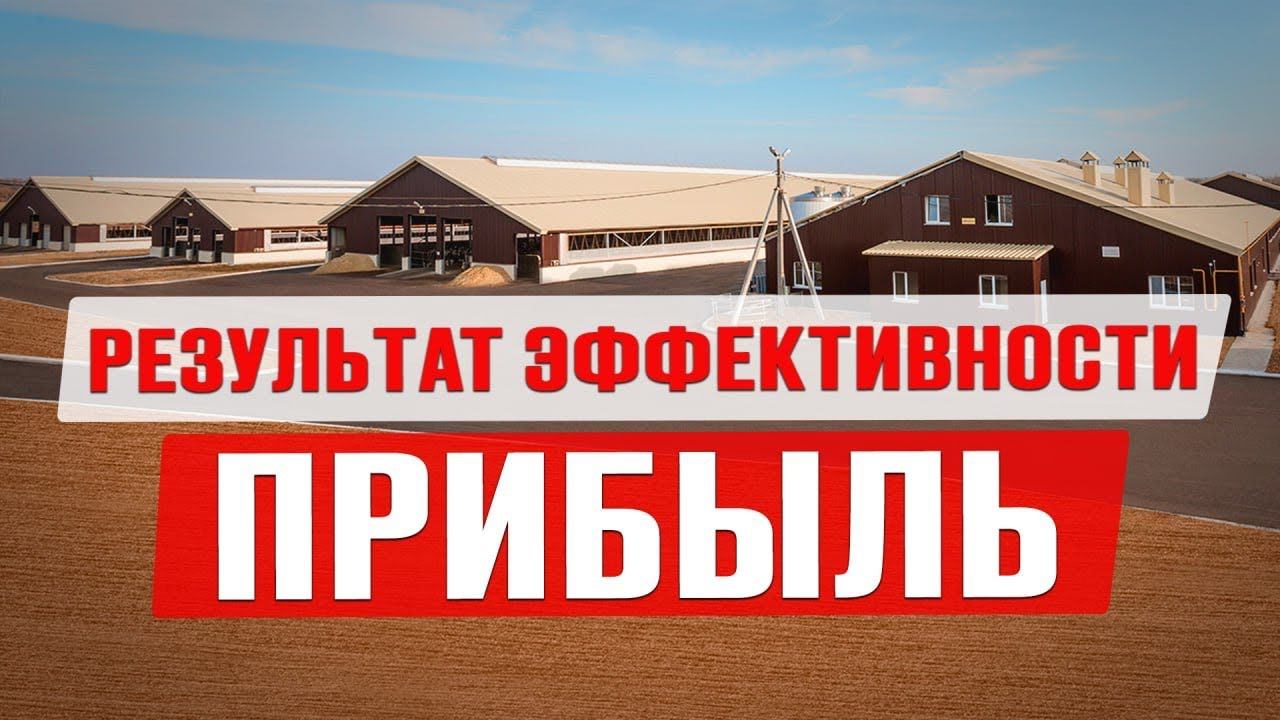 Бизнес на молоке | Интервью с основателем Молвеста | Вкуснотеево | Производство молока