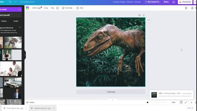 About WooCommerce Product Images: Adding and Resizing Your Photos смотреть онлайн