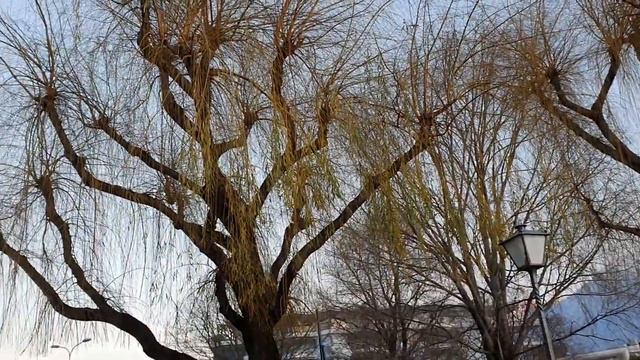 По Асконе гуляем. зарисовка. Швейцария. смотреть онлайн