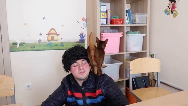 ЗВЕРОДЕТИ В НОВОЙ ШКОЛЕ В ДЕРЕВНЕ смотреть онлайн