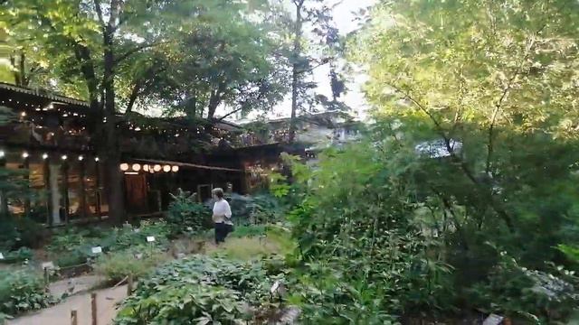 Тайный сад|Аптекарский огород|Ч.1|Москва|2022 смотреть онлайн