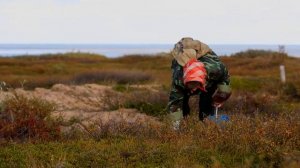 Архангельск  Поморы ¦ Люди воды ? Моя Планета