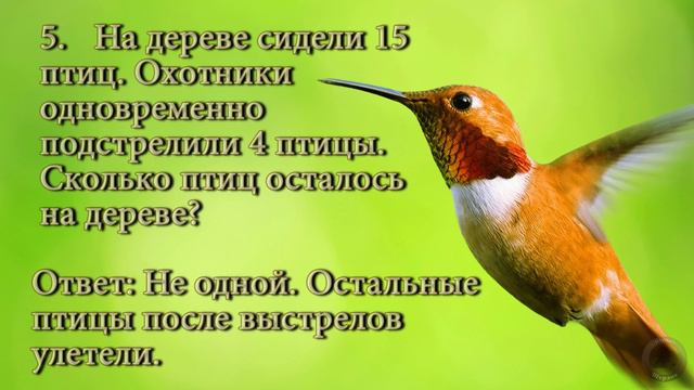 ТЕСТ НА ИДИОТА. Проверь свои умственные способности. смотреть онлайн
