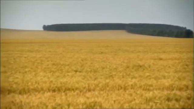 The Ferdinand: What Not To Do When Building a Tank смотреть онлайн