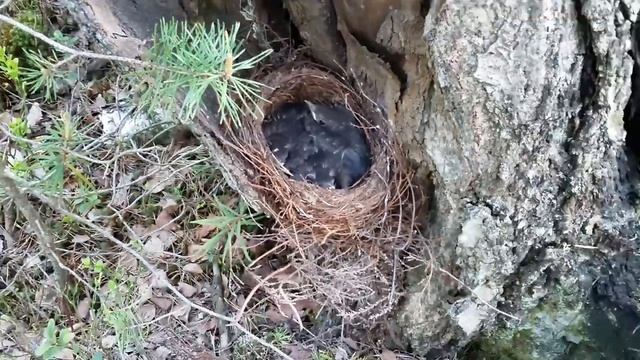 Готовим с Любовью