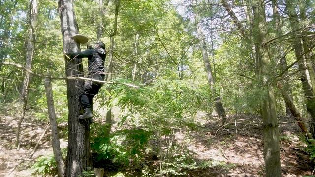 Shelter Construction | Alone In The Forest | Wilderness Survival.