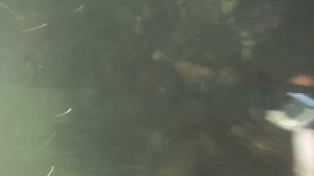ЧТО МОЖНО НАЙТИ НА ДНЕ РЕКИ #5 НАШЕЛ GoPRO4, Iphone, очки смотреть онлайн