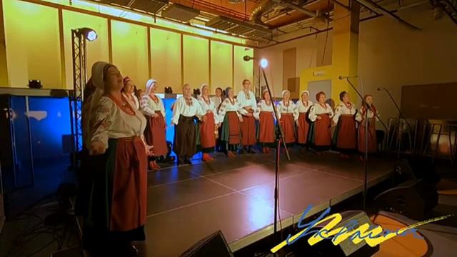 Ансамбль народної пісні та побутового танцю «Громиця» «Калина-малина» смотреть онлайн