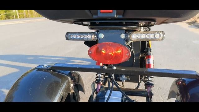 Обзор Citycoco Skyboard BR-60 после 6 месяцев эксплуатации смотреть онлайн