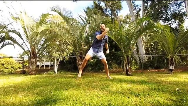"Whip It" Dance With Music смотреть онлайн
