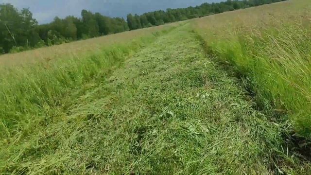 Покос 2023, начало. Т-25 и мтз 82 на сенокосе. смотреть онлайн
