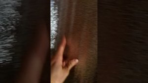 Утепляю сенки фольгированным утеплителем (пенофолом)