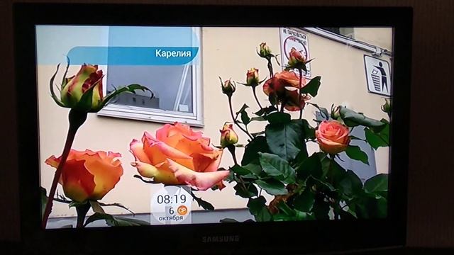 дом образцового содержания на первом канале смотреть онлайн
