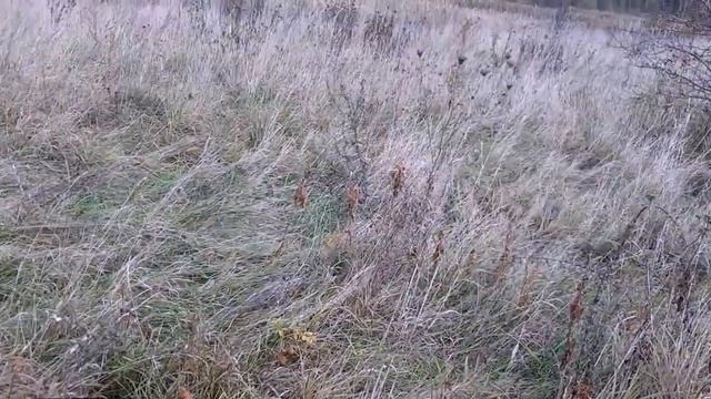 Строительный Челлендж