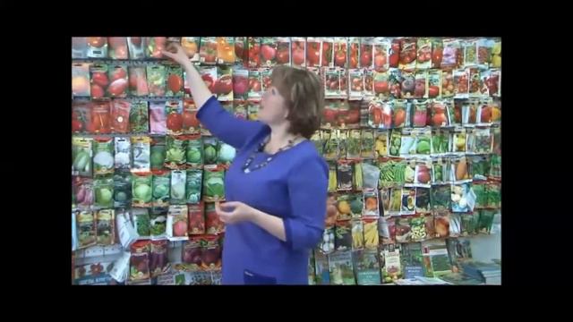 Выбираем семена. Начало. смотреть онлайн