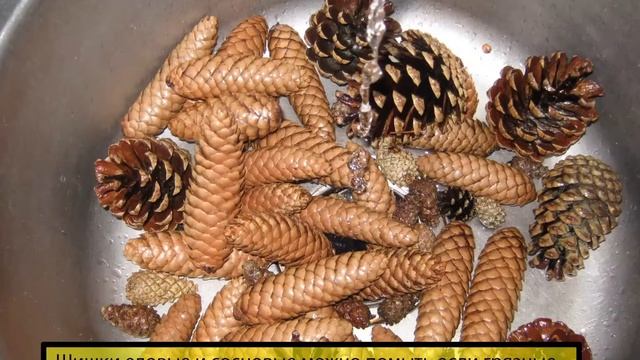 НОВОГОДНЯЯ ЕЛКА ИЗ ЛОЗЫ смотреть онлайн