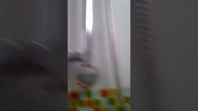 The Ri Hotel душ/туалет смотреть онлайн