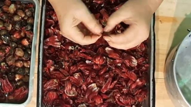 GROSELLA: CÓMO HACER LICOR, MERMELADA Y MIEL смотреть онлайн