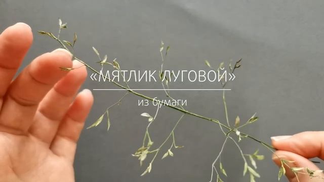 Мятлик луговой из бумаги смотреть онлайн