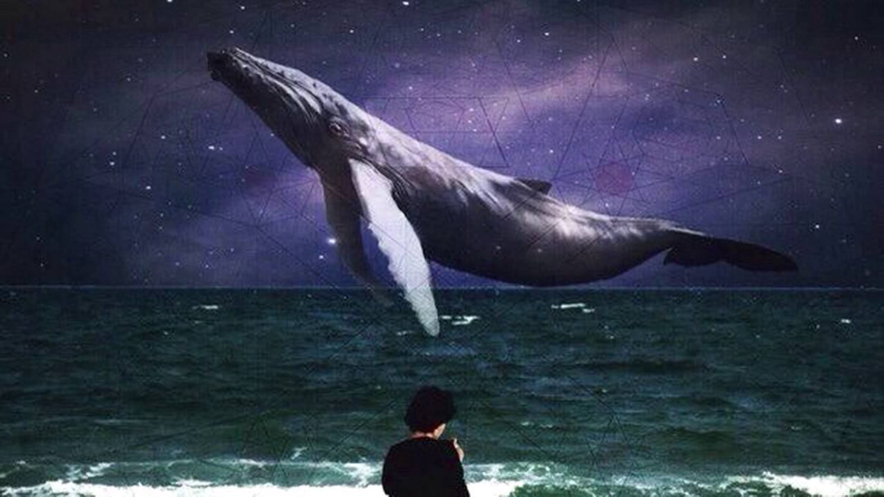 найтивыход - киты умирают в лужах бензина смотреть онлайн