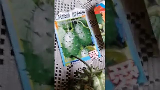 Экзотические растения Людмилы Очневой. смотреть онлайн