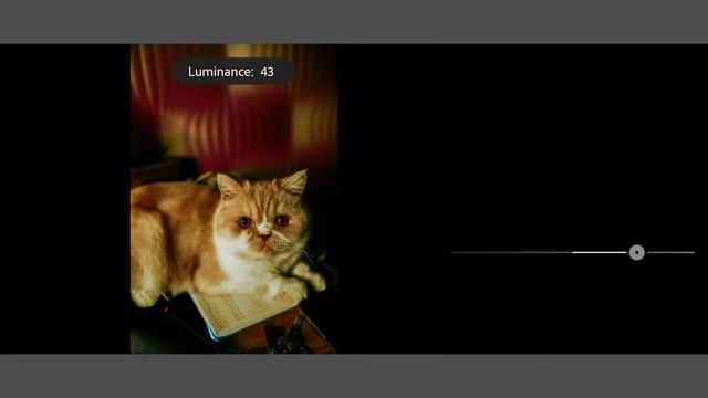 Pussy Cat ~ Part-1 - @Lightroom