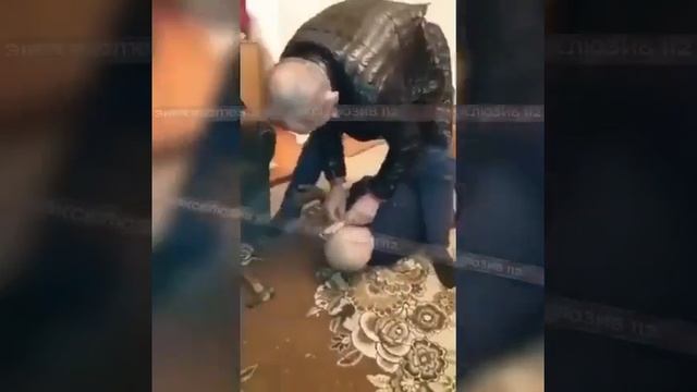 Жители КЧР ломают уши под Хабиба Нурмагомедова смотреть онлайн