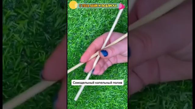 Самодельный капельный полив для домашних цветов . смотреть онлайн