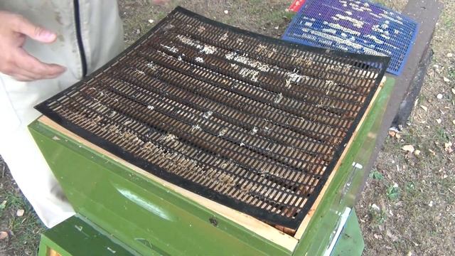 ГАНЕМАНОВСКАЯ разделительная РЕШЁТКА. Обзор трёх экземпляров. смотреть онлайн