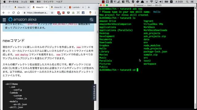 第14回：ASK CLI を使ってスキル開発を効率化しよう смотреть онлайн