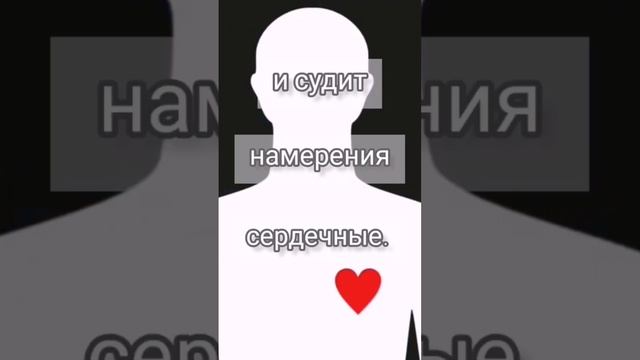 Слово Божье живо и действенно... #стихи#библия смотреть онлайн