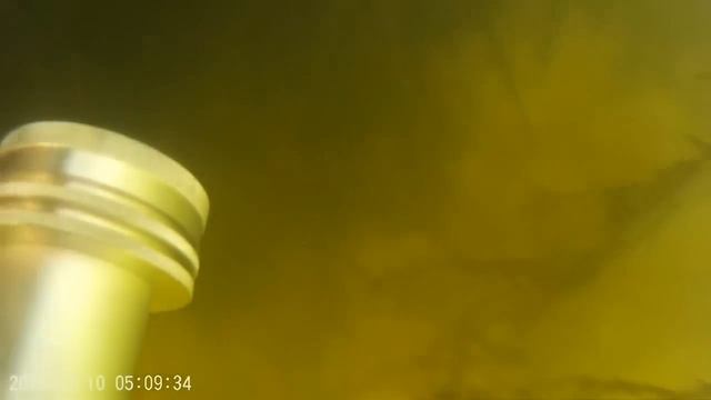 Сом атакует человека!сом-людоед!!!Подводная охота на сома 2019!Spearfishing catfish смотреть онлайн