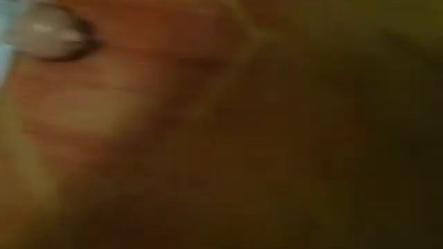 Любовь котов мультик