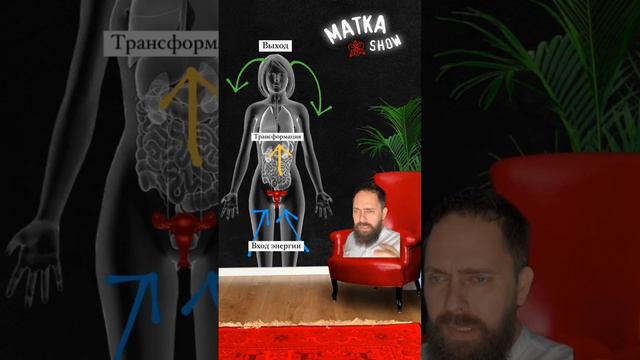 Энергообмен тела. Что же первично психика, физиология или энергия? смотреть онлайн