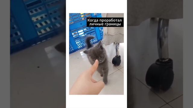 Личные границы смотреть онлайн