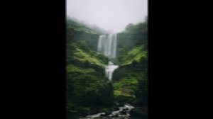 Зугра Меджидова - Шамиль