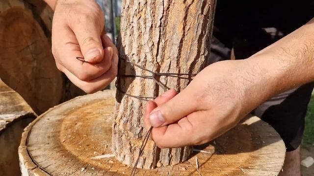 Секреты Творческой Мудрости