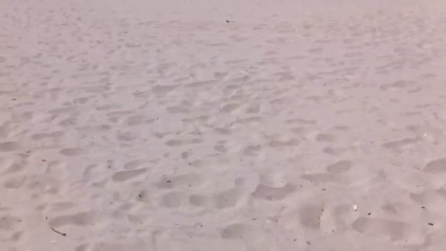 Flick n Sticks - Best Beach Game Ever смотреть онлайн