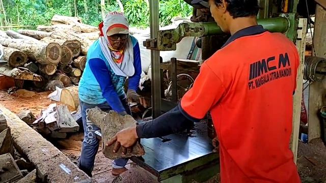 Sawmill Log Sonokeling !! ROSEWOOD JAVA,, Wood working смотреть онлайн