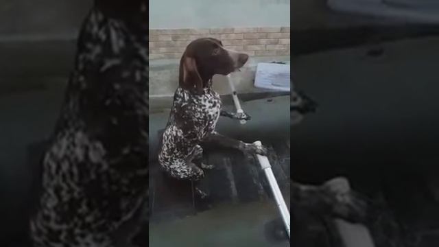 Поплывём за рыбкой! 🐟 смотреть онлайн