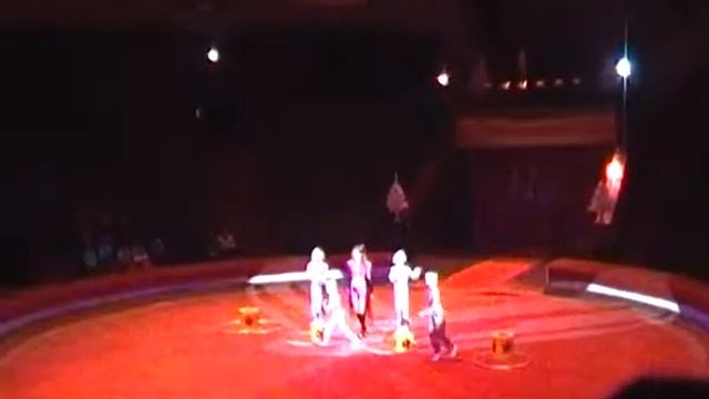 Дресерованные собачки Алле АпНовомосковск смотреть онлайн