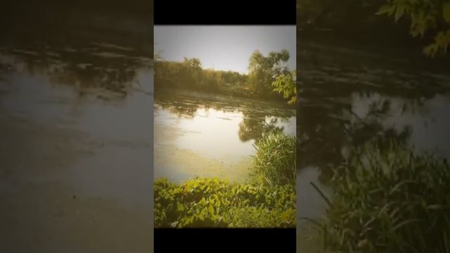 Природа Сумщины,заметки, аматора,Nature Of Sumy Region,Ukraine.