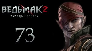 The Witcher 2 / Ведьмак 2 - Загадки Даэрхенны - Прохождение игры на русском [#73] | PC (2017 г.)