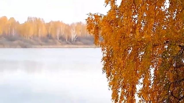 Прогулка - прощание с летом, природа осень  ляпота . #помощь #жизнь #доступнаясреда #любовь