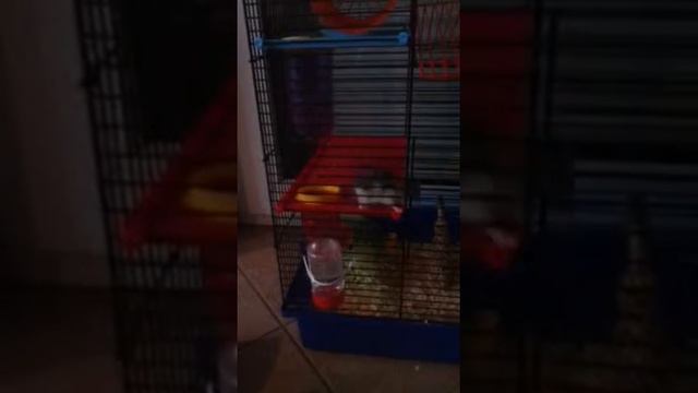 Divan 2 смотреть онлайн